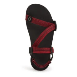 Men's Xero Shoes Z-Trail EV Sandal -Oluka Shoes Shop 4zkbrc1rb3