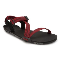 Men's Xero Shoes Z-Trail EV Sandal -Oluka Shoes Shop 8a1fyeswk3