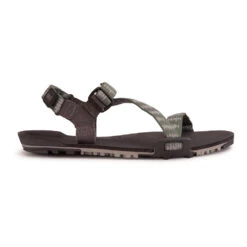 Men's Xero Shoes Z-Trail EV Sandal -Oluka Shoes Shop asr14e0szw