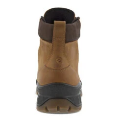 Men's Ecco Track 25 High Plain Toe -Oluka Shoes Shop bnan1chluy