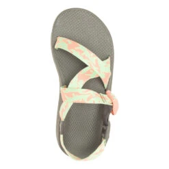 Men's Chaco Z/Cloud -Oluka Shoes Shop c1pma7mw3l