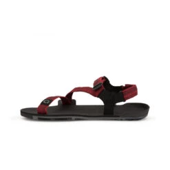 Men's Xero Shoes Z-Trail EV Sandal -Oluka Shoes Shop pfcq7cdsep