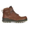 Men's Ecco Track 25 High 1 Men's Ecco Track 25 High -Oluka Shoes Shop qyemwbfkz0