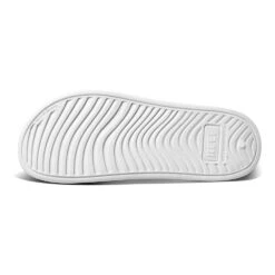 Men's Reef Oasis Slide -Oluka Shoes Shop tgxojcojsp